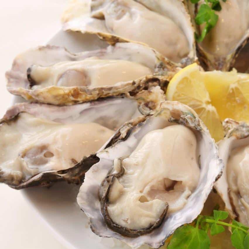 安全と鮮度を誇る極上生牡蠣。 神戸牡蠣/神戸オイスター/神戸ディナー/mosaic /夜景